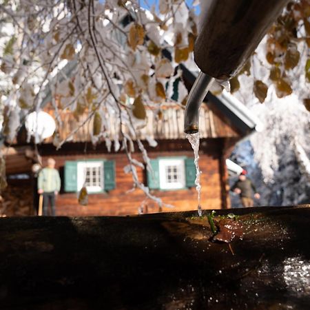 Gregor'S Ferienhaus Im Wald Villa Edelschrott Dış mekan fotoğraf