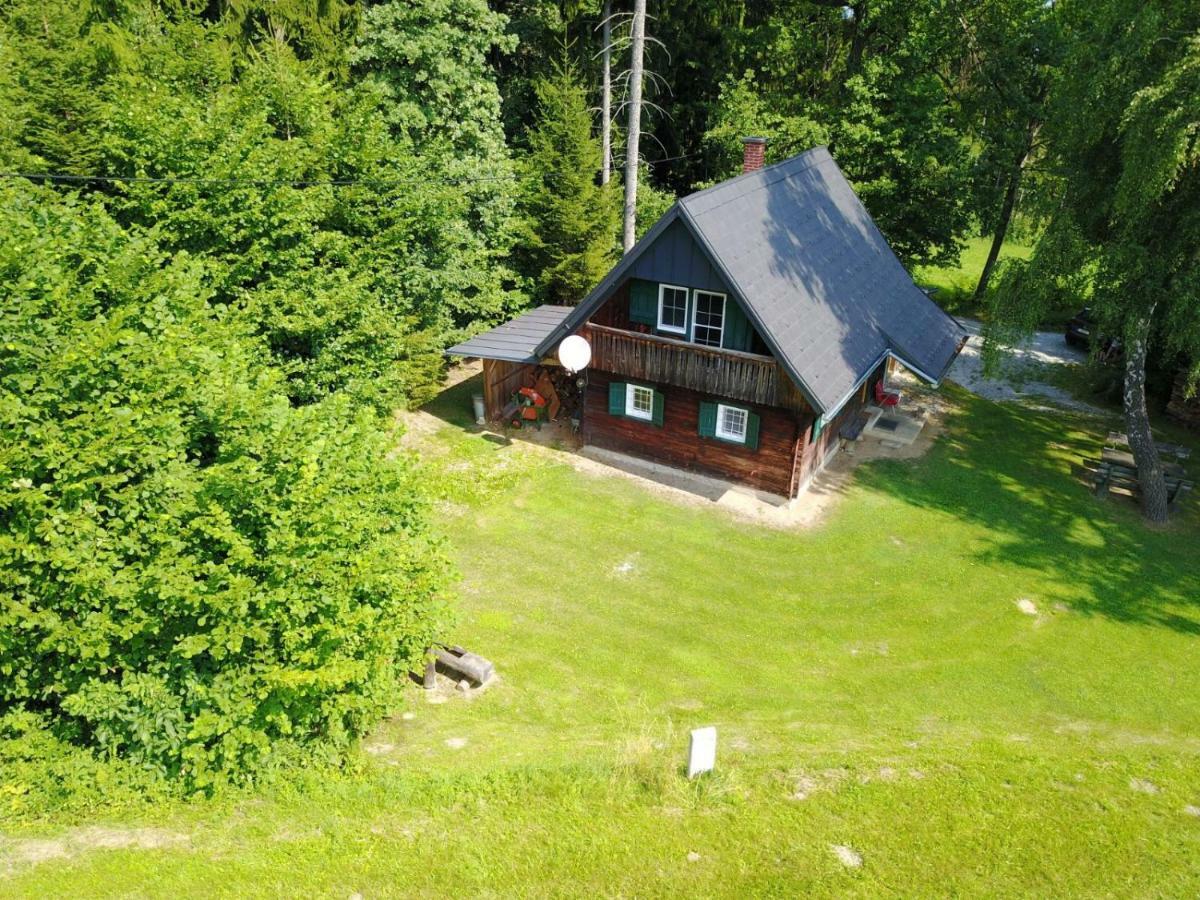 Gregor'S Ferienhaus Im Wald Villa Edelschrott Dış mekan fotoğraf